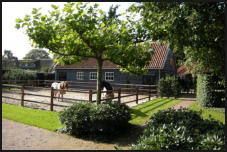 Paardestallen